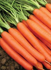 Витаминная 6 морковь весовые