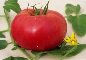 Японский краб томат весовые