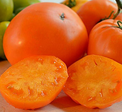 Бычье сердце оранжевое томат весовые