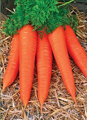 Карамелька морковь весовая
