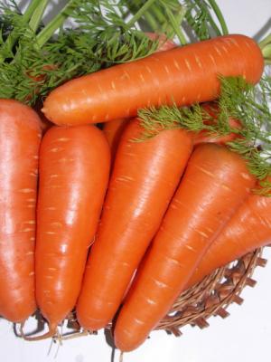 Абако F1( Семин) (1уп/ 200 000шт)морковь весовые