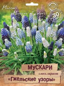 Гжельские узоры мускари смесь окрасок 30шт (6/8)