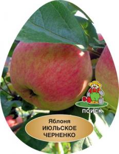 Июльское Черненко яблоня двухлетка полукарликовая
