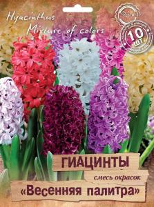 Гиацинт Весенняя палитра смесь окрасок 10шт (14/15)