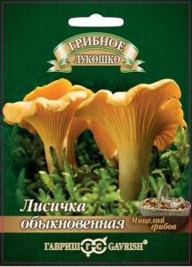 Лисички на зерновом субстрате 15мл (г)