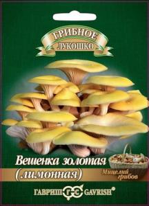 Вешенка Золотая (Лимонная)  на древесн. палочке 12 шт (г)