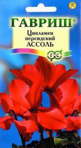 Ассоль персидский цикламен 3шт (г)