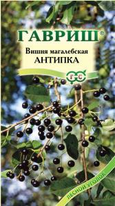 Вишня Антипка махалебская 1гр (г)
