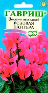 Розовая пантера цикламен персидский 3шт (г)