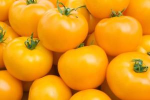 Солнцедар томат вес