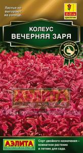 Вечерняя заря блюме колеус 10шт (а)