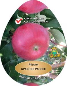 Красное Раннее яблоня двухлетка  (дерево) Поиск