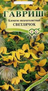 Клематис Светлячок пильчатолистный мн. до 3м (г)