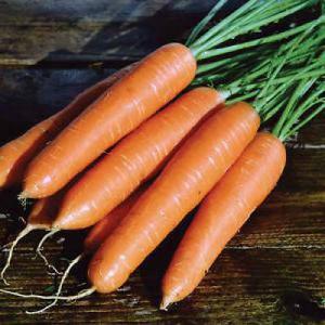 Ромоса морковь (1упак/500гр)