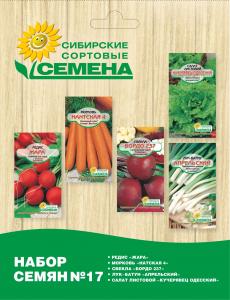 17 Набор 