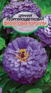Фиолетовая королева цинния 0,3г (ссс)