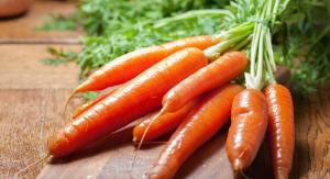 Лосиноостровская 13 морковь весовые