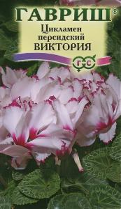 Виктория цикламен персидский 3шт (г)