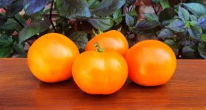 Мандарин оранжевый томат