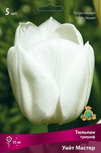 Уайт Мастер тюльпан белый (12/+) 5шт 