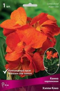 Хэппи Клео канна 1шт (45см) 