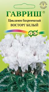 Восторг белый F1 махровый цикламен 3 шт (г)