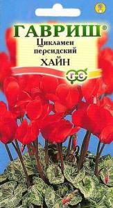 Хайн персидский цикламен 3шт (г)