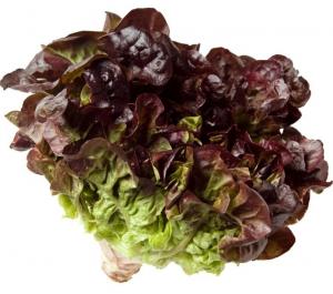 Красный полукочанный салат весовые