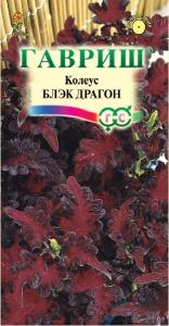 Блэк Драгон колеус 5 шт (г)