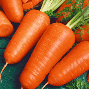 Шантане Ройял морковь дражже весовые