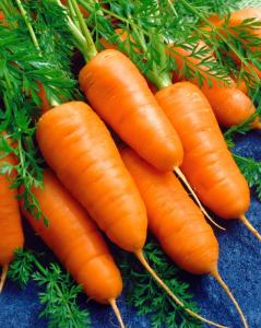 Ред Кор морковь весовые