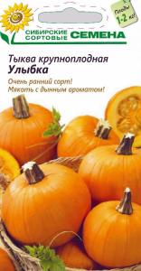 Улыбка тыква  5шт (ссс) Р