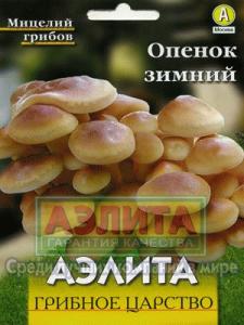 Опенок зимний грибы (а)