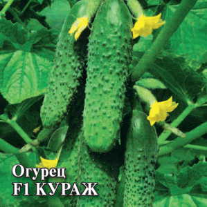 Кураж F1 огурец 100шт (г)