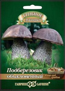 Подберезовик на зерновом субстрате 15 мл (г)