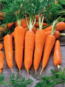 Флакке морковь весовые