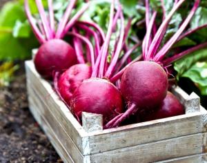Мулатка свекла весовые