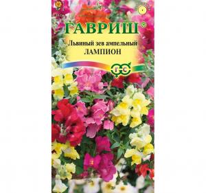 Лампион ампельный львиный зев 5шт (г)
