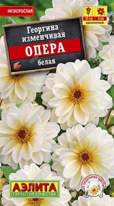 Опера белая георгина 7шт (а)