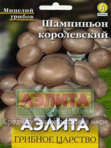 Шампиньон Королевский грибы (а)