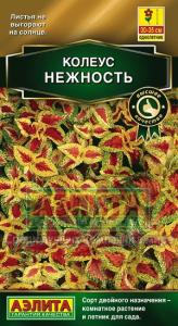 Нежность блюме колеус 5шт (а)