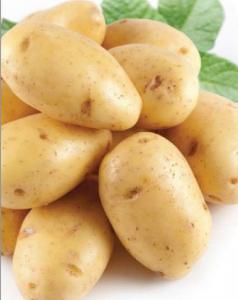 Лина  ЭЛИТА Картофель 5кг сетка (Среднеспелый сорт(65-80дней))