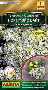 Норт фэйс вайт алиссум каскадный 12шт (а) 