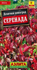 Девичий виноград Серенада 10шт  Мн (а)
