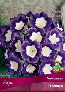 Голливуд бело-фиолетовый 2шт (4/5)