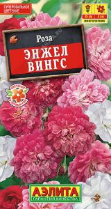 Роза Энжел Вингс китайская 10шт (а)