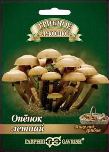 Опенок летний на древесной палочке 12шт (г)