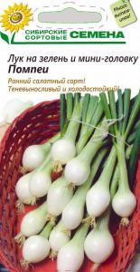 Помпеи лук на зелень и мини головку 0,3гр (ссс)