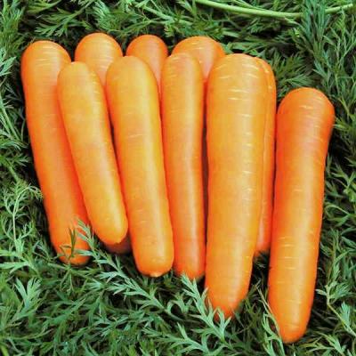 Детская сладкая морковь весовые