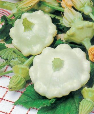 НЛО белый патиссоны весовые